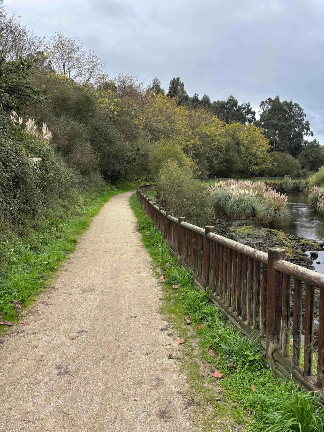 Ruta por el  Río Mero 